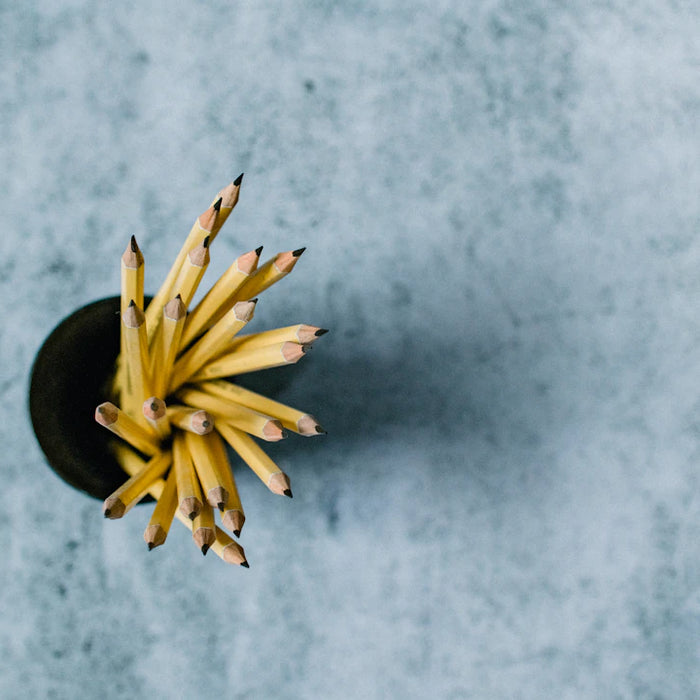 The Amazing Science Behind Learning Through Play