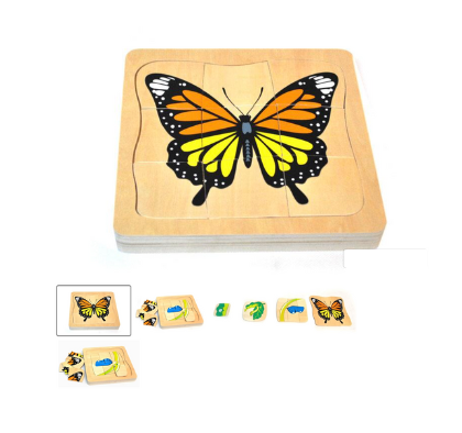 Wooden Puzzle of the Butterfly Cycle of Life