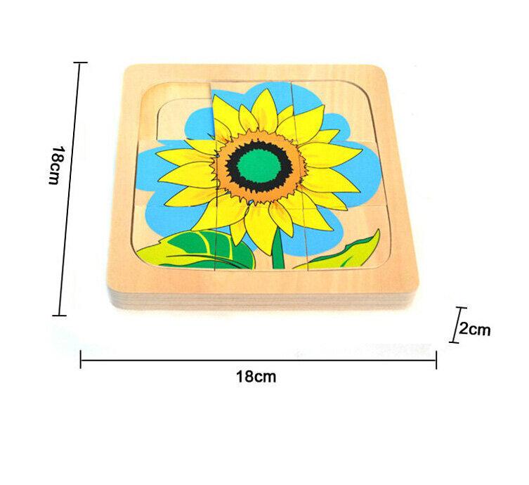 Life Cycle of Sunflower Wooden Puzzle - Daily Mind