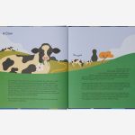 Nature and Me Book | The School of Life